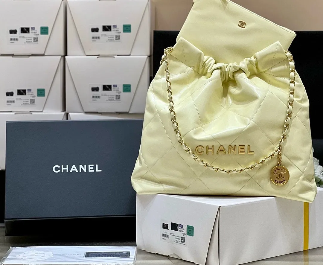 CC875 CHANEL 22 Bag / HIGHEST QUALITY VERSION / Small/Medium