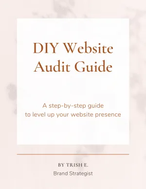 DIY Website Audit