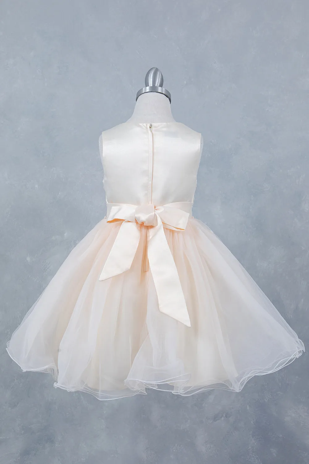 Girls Stunning Tulle and Lace Party Dress 2-12