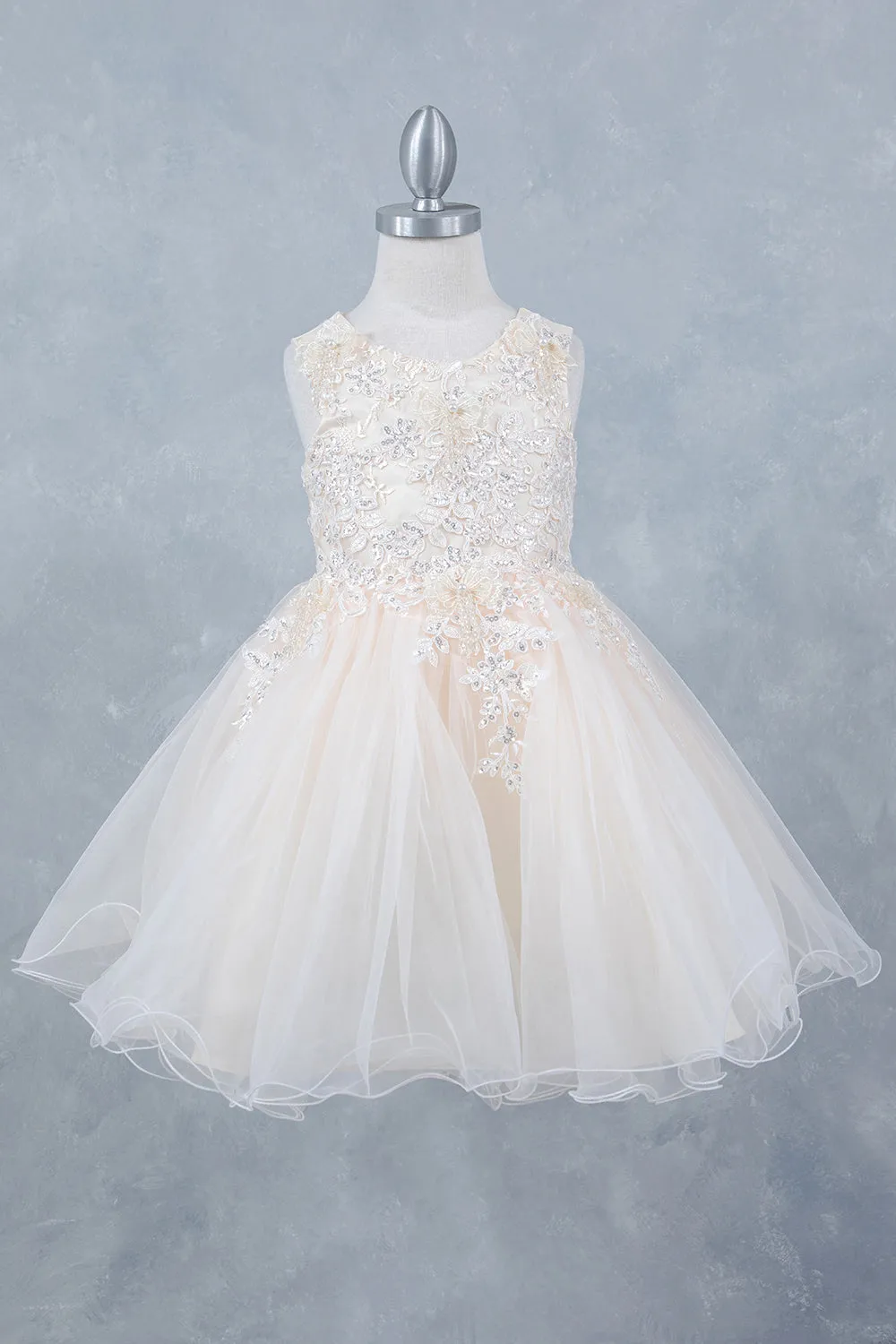 Girls Stunning Tulle and Lace Party Dress 2-12