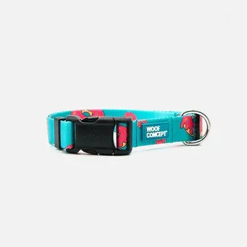 Ikonic Dog Collar