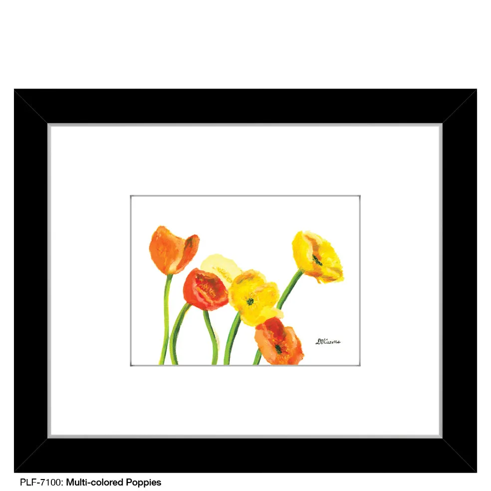 Multi-Colored Poppies, Print (#7100)