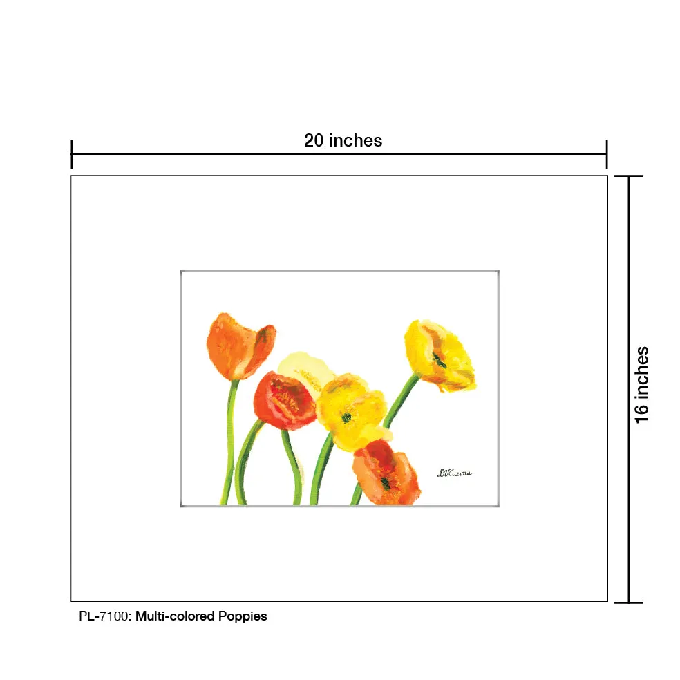 Multi-Colored Poppies, Print (#7100)