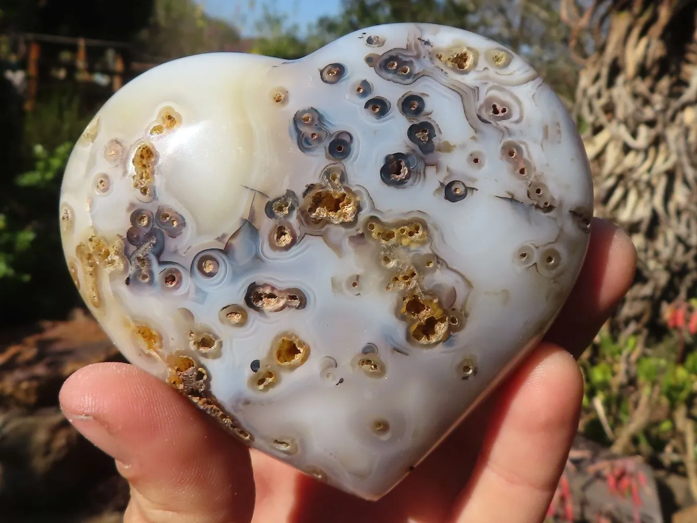 Polished Stunning Agate Hearts x 4 From Madagascar