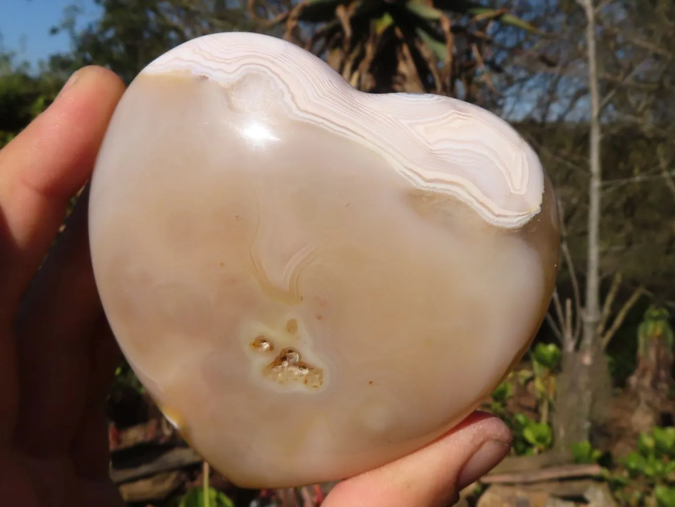 Polished Stunning Agate Hearts x 4 From Madagascar