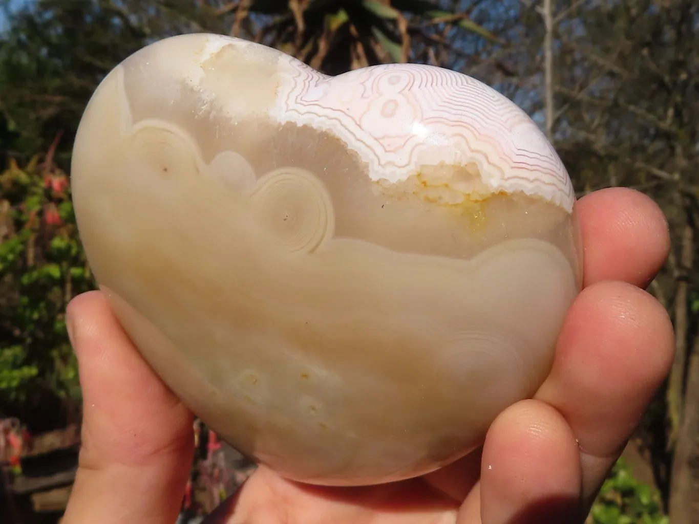 Polished Stunning Agate Hearts x 4 From Madagascar