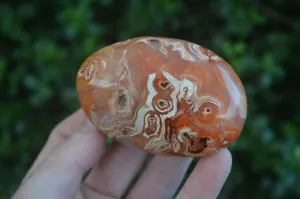 Polished Stunning Carnelian Agate Palm Stones  x 6 From Madagascar