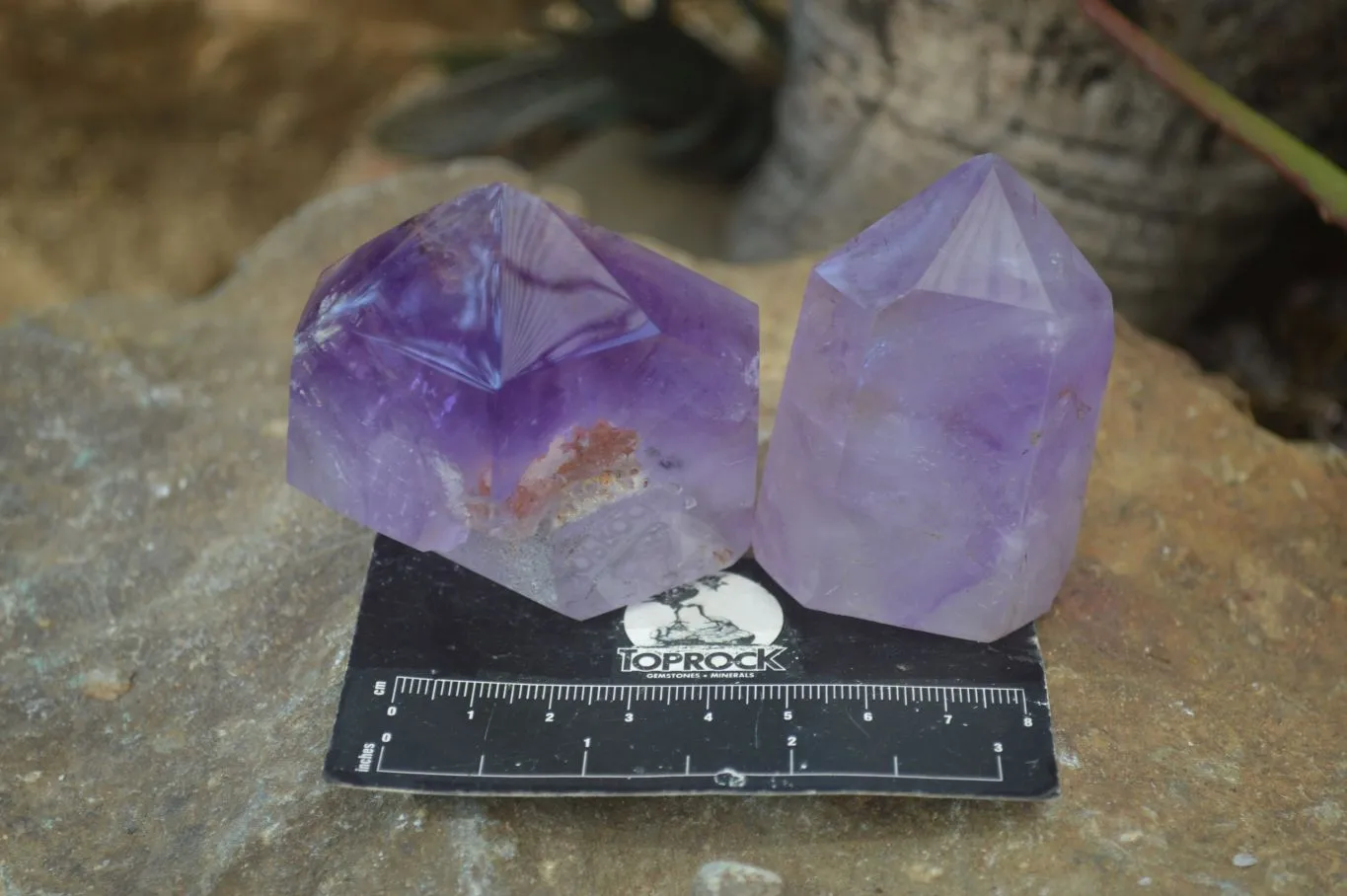 Polished Stunning Window Amethyst Crystals x 6 From Ankazobe, Madagascar