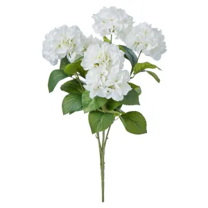 Rogue Hydrangea Bush Stem White 36x36x64cm