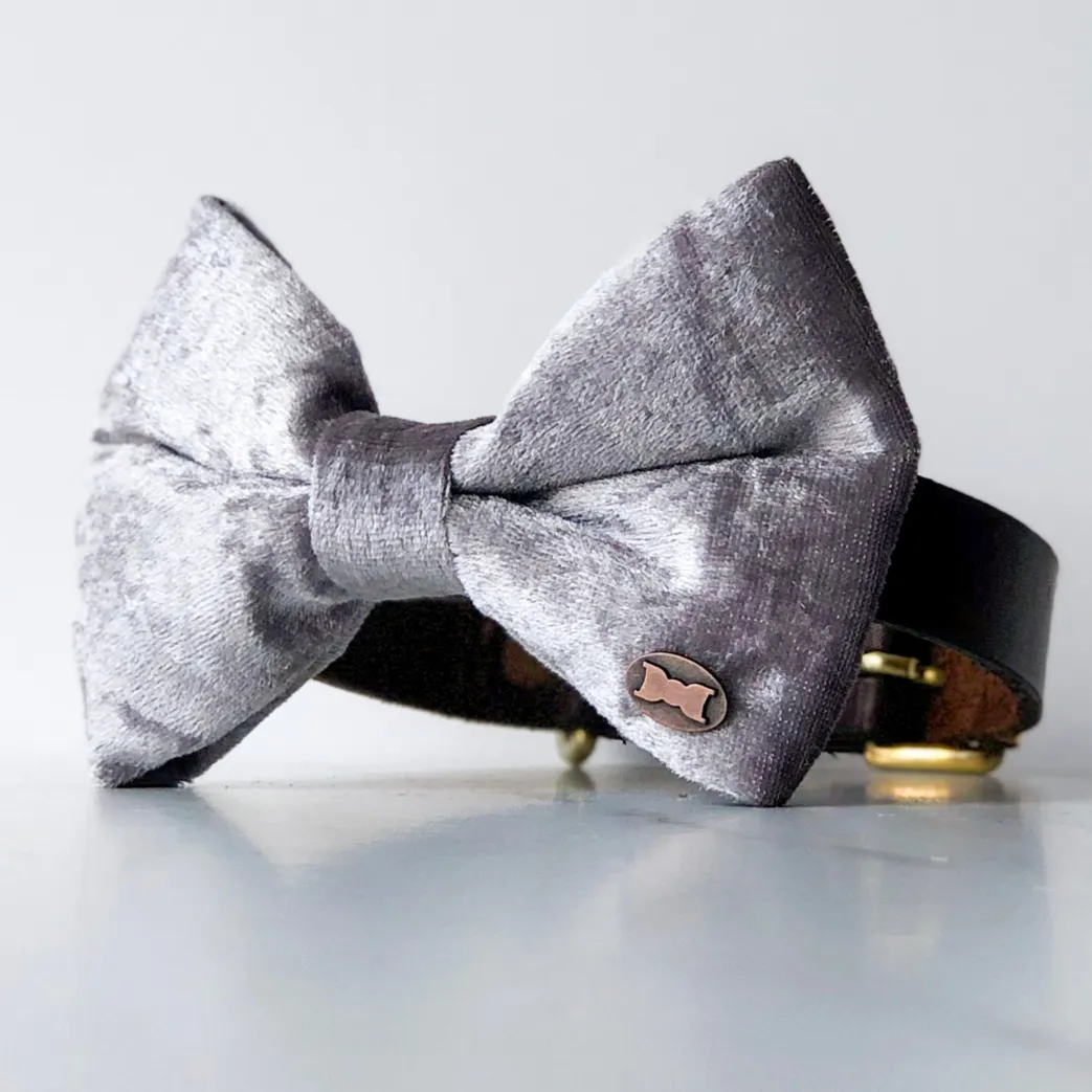 Stunning Silver Velvet Dog Bow Tie